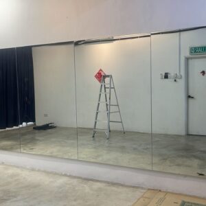 Backing Mirror